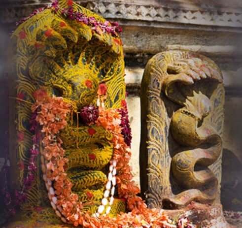 Rahu Ketu Shanti Puja Ritual Up View