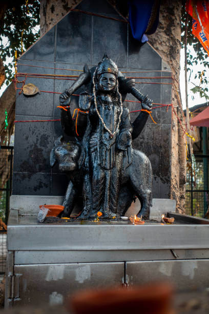 Shani Tel Arpan Offering Shani Tel Arpan Offering Down
