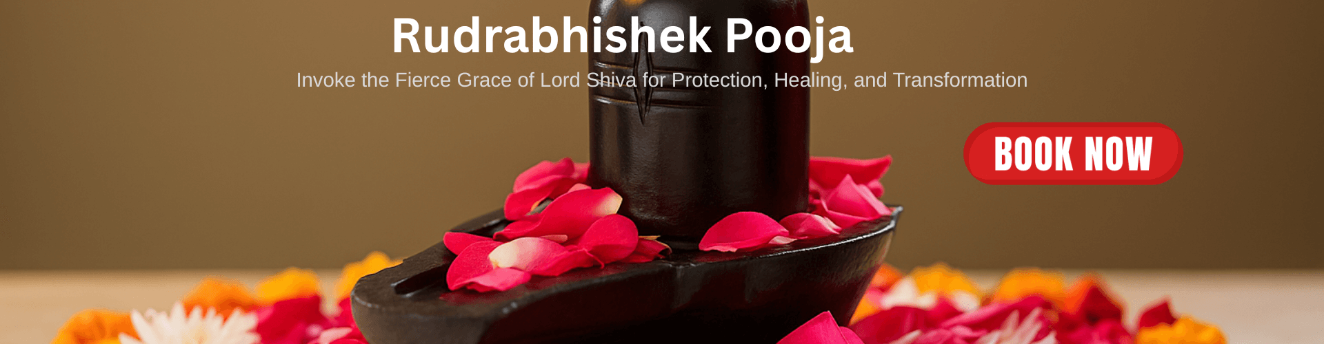 Rudrabhishek Puja Ritual