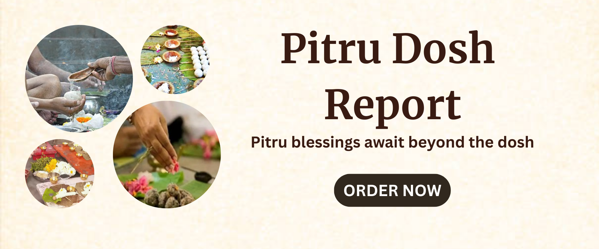pitru dosh report banner